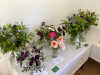 HorticulturalShow2022_HGrislinHH-3-of-5