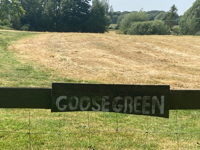 GooseGreen