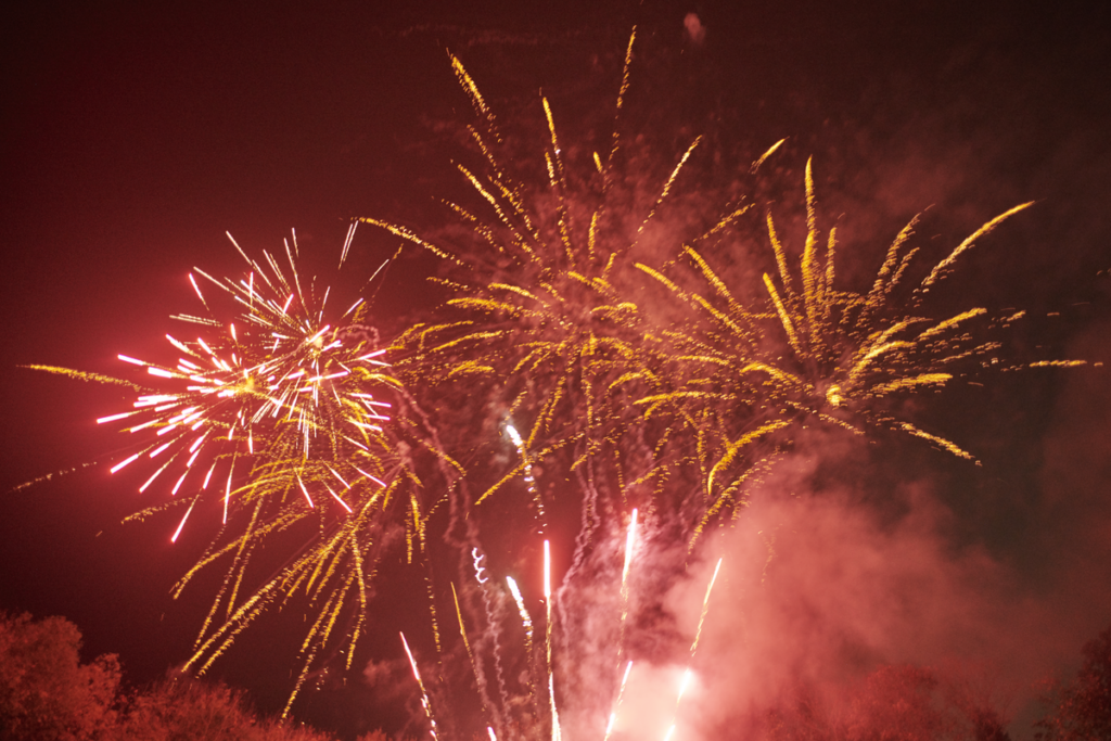 Multicoloured fireworks against a dark sky