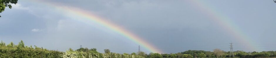 A rainbow over a ploughed field with a line of trees